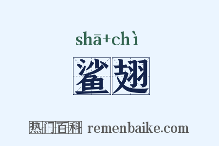 鲨翅是什么意思的图片